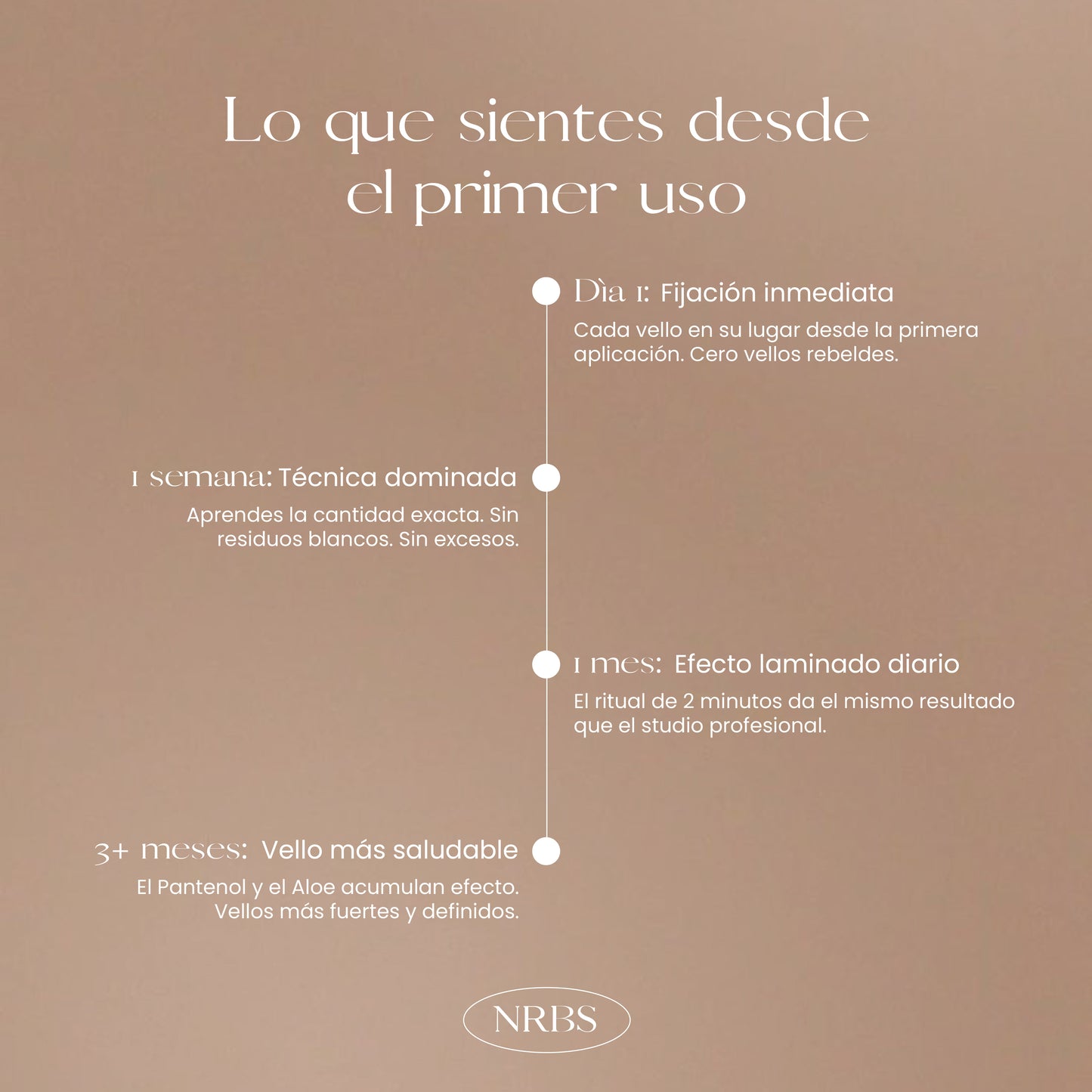 GEL FIJADOR DE CEJAS NR