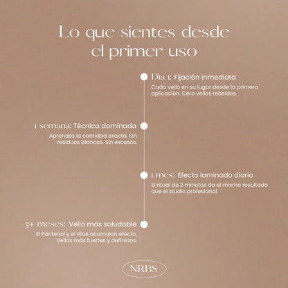 GEL FIJADOR DE CEJAS NR